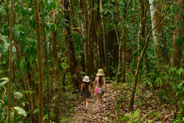 istock Family vacation in a tropical climate 1144813699