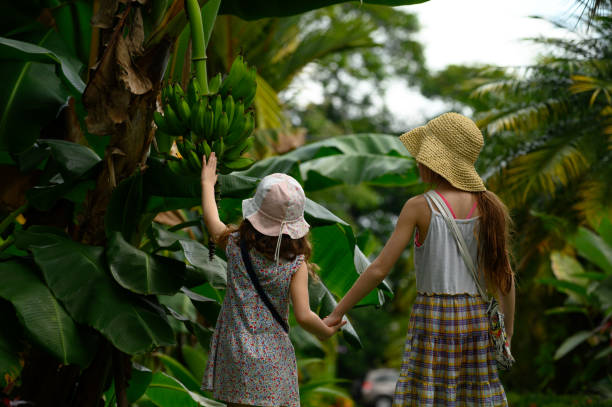 istock Family vacation in a tropical climate 1144813764
