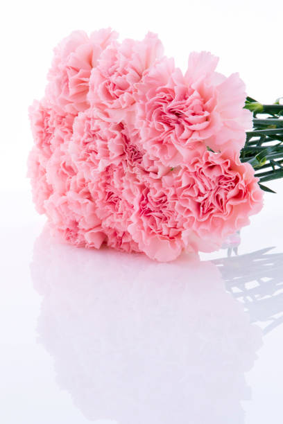 istock Mother's Day, carnations, pink carnations, 1144813769