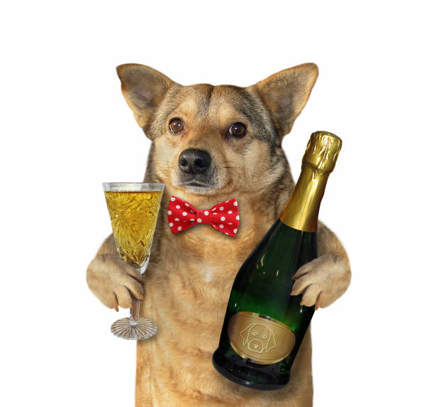 istock Dog with a champagne glass 1144813910