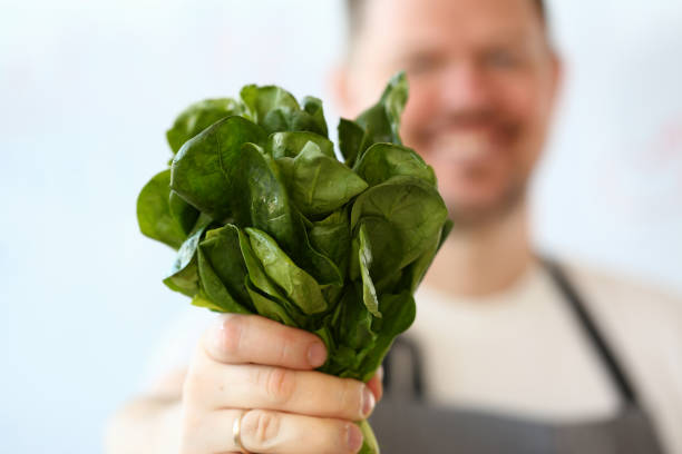 istock Male Hand Holding Green Aromatic Sorrel Bunch 1144814384