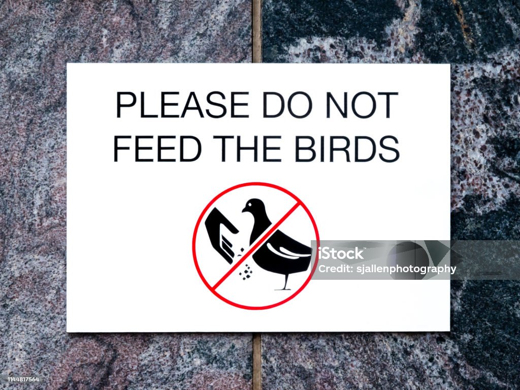 Sign on stone wall with text PLEASE DO NOT FEED THE BIRDS and picture Black and white sign on stone wall with text PLEASE DO NOT FEED THE BIRDS and picture of bird and hand with food inside red crossed circle Australia Stock Photo