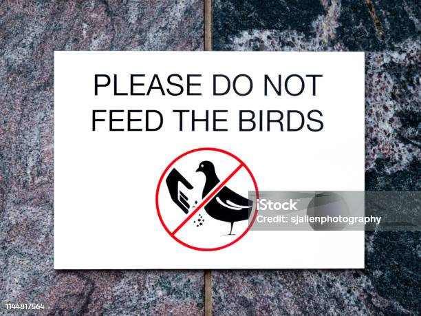 Sign On Stone Wall With Text Please Do Not Feed The Birds And Picture Stock Photo - Download Image Now