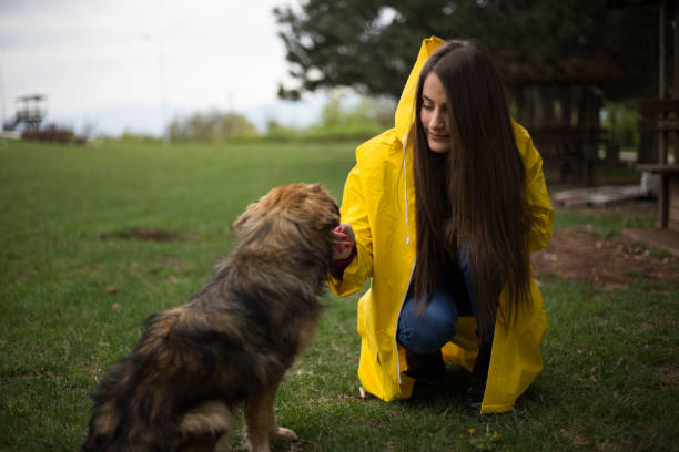 istock Playing with dog on rainy day 1144817652