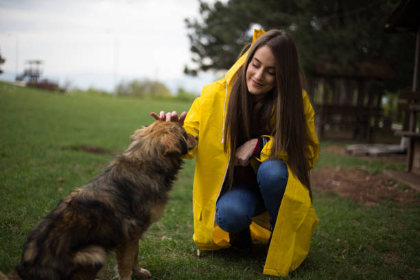 istock Playing with dog on rainy day 1144818446