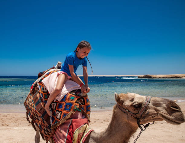 istock Excited Young Girl Sitting on a Camel 1144818483