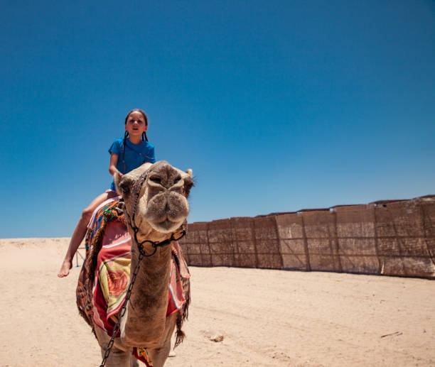 istock Young Girl Riding a Camel in Egypt 1144818494