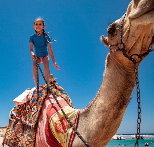 istock Cheerful Young Girl Riding a Camel Standing Up 1144818503
