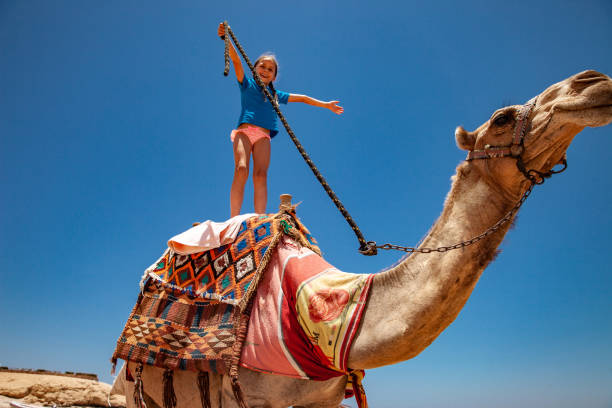 istock Young Girl Riding a Camel Standing Up 1144818508