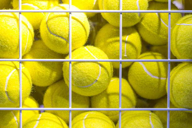 istock Tennis Balls in Cage 1144818561