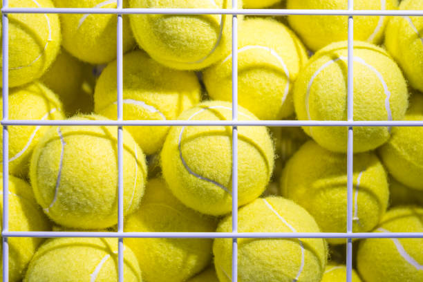 istock Tennis Balls in Cage 1144818564
