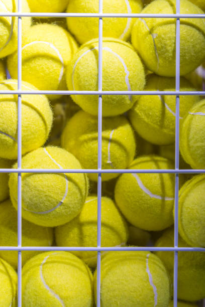 istock Tennis Balls in Cage 1144818568