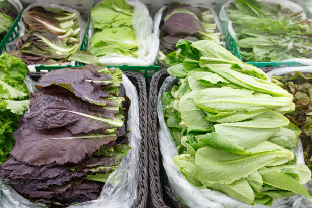 istock many kinds of vegetables in refrigerator 1144818721