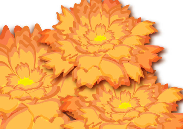 istock Decorative floral background with flowers of peony on a white background. 1144820845