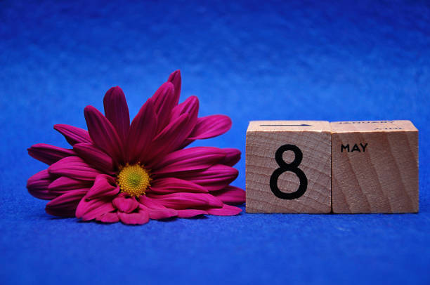 8 May on wooden blocks with a purple daisy on a blue background