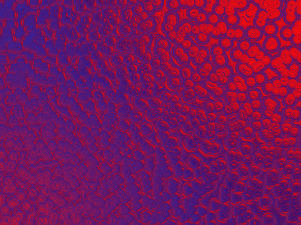 Holographic Foil Red Blue Purple Bubble Pattern Colorful Background Ombre Iridescent Texture Computer Graphic