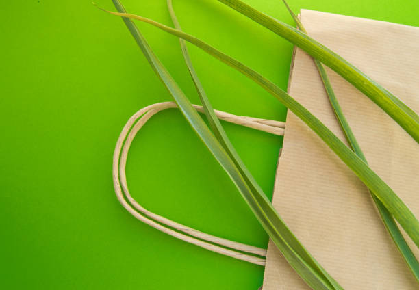 istock Paper shopping bag eco top view flat position with herbaceous plants on green background, zero waste ecology concept and world environment day, copy spase 1144825157