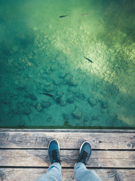 istock Fishes In a Mountain Lake 1144826102