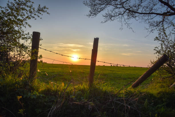 istock Sunset  in the countryside 1144828365