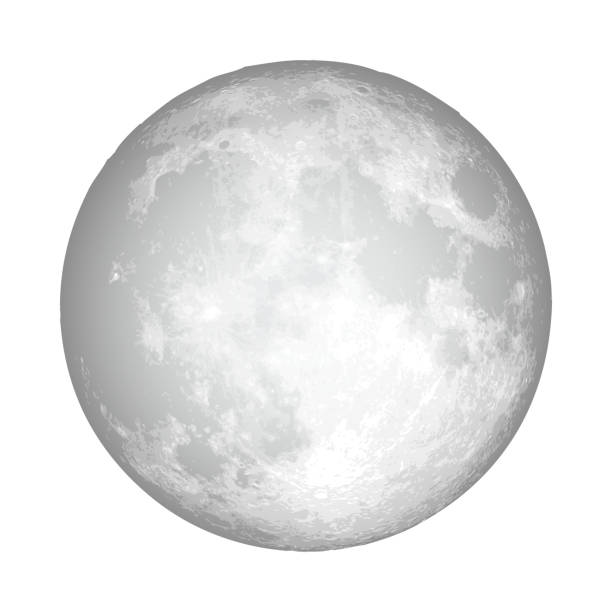 현실적인 보름달. 점성술 또는 천문학 행성 디자인. 벡터. - 12시 일러스트 stock illustrations