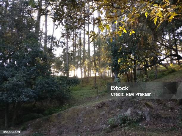 Ranikhet Stock Photo - Download Image Now - Asia, Beauty, Beauty In Nature