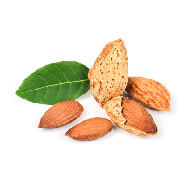 istock Dry Almonds nuts with shell on white background ,health food. 1144835268