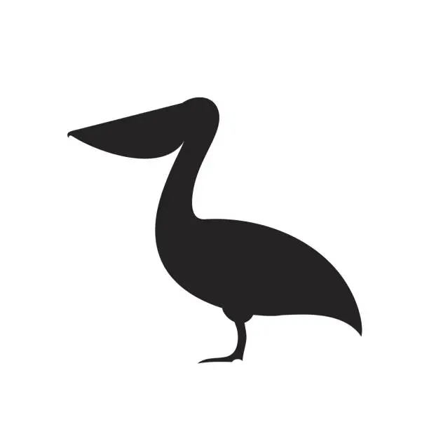 Vector illustration of Pelican silhouette. Isolated pelican on white background