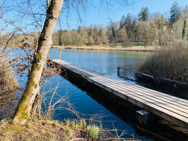 istock A wooden footbridge 1144837332