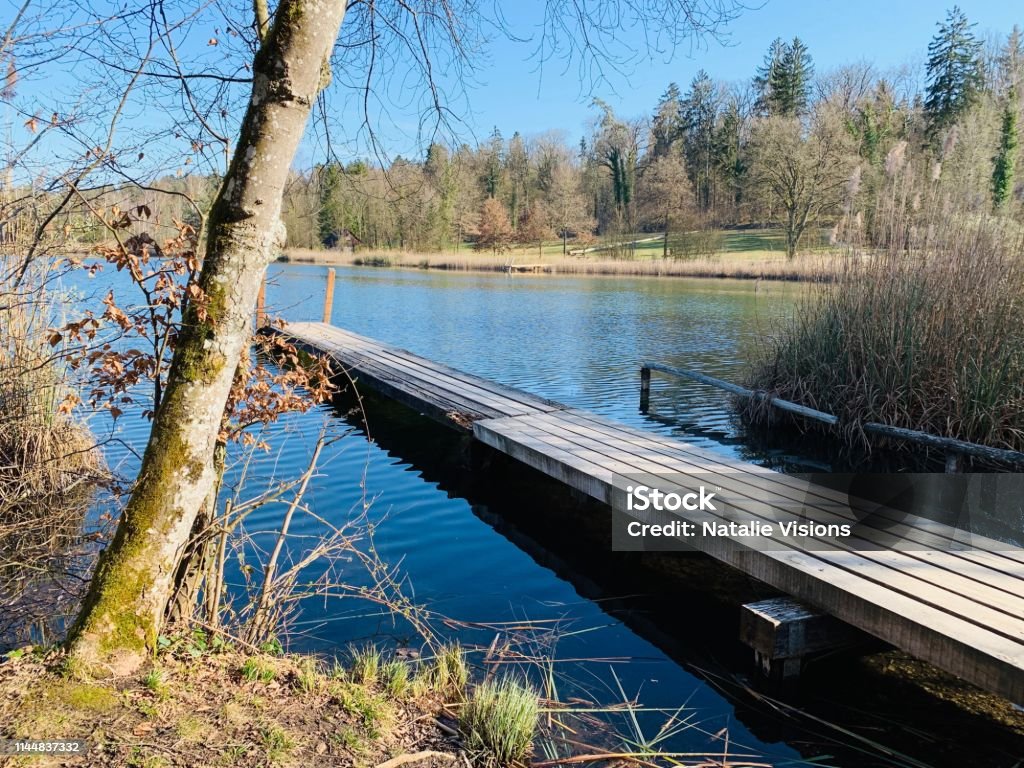 A wooden footbridge A wooden footbridge on a sunny day Footbridge Stock Photo