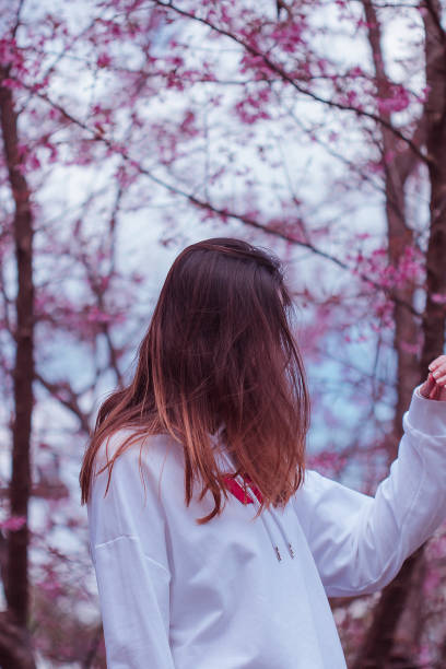 istock Women under the pink tree in the winter 1144837340