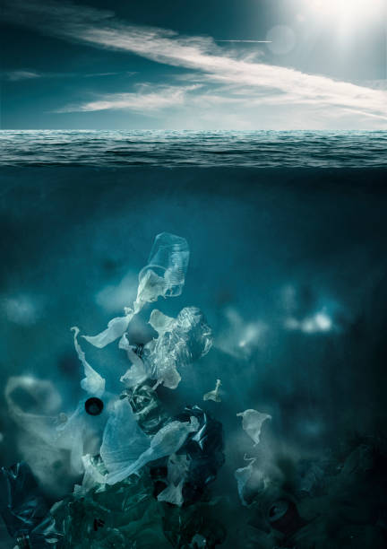istock Plastic toxic waste polluting ocean water 1144837477