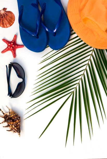 istock flat layout, tropical palm tree background, travel and beach holiday concept on white background 1144844288