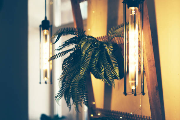 lamp and potted plant in the interior home or cafe
