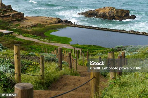 Spring Impressions From The Lands End In Golden Gate Recreation Area In San Francisco Stock Photo - Download Image Now