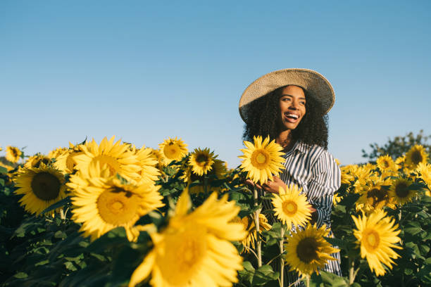 ひまわり畑で幸せな若い黒人女性 - sunflower field flower yellow ストックフォトと画像