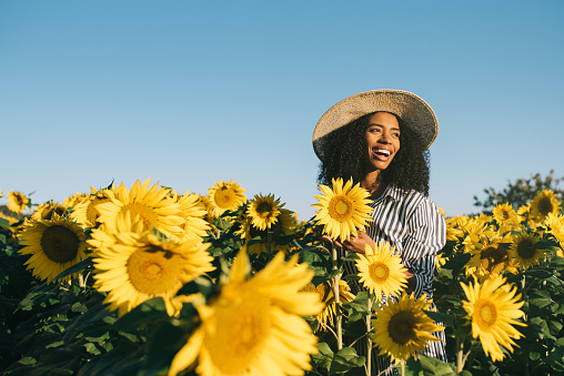 Happy young black woman in a sunflower field