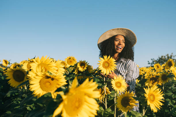 szczęśliwa młoda czarna kobieta na polu słonecznika - sunflower field flower yellow zdjęcia i obrazy z banku zdjęć