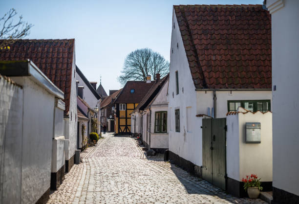 Beautiful old houses in Ribe, Denmark Beautiful old houses in Ribe, Denmark.
Ribe is the oldest town i Denmark founded 704-710 AD and located on the west coast of Jutland. ribe town photos stock pictures, royalty-free photos & images
