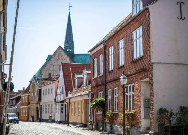 Beautiful old houses in Ribe, Denmark Beautiful old houses in Ribe, Denmark.
Ribe is the oldest town i Denmark founded 704-710 AD and located on the west coast of Jutland. ribe town photos stock pictures, royalty-free photos & images