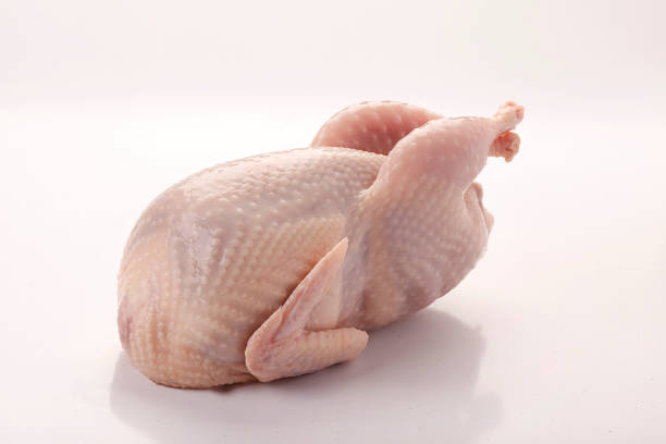istock Raw quail meat on white background 1144860602