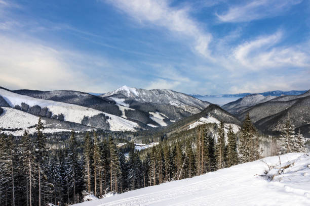 istock Winter Tatry landscape, forest, Slovakia 1144861972