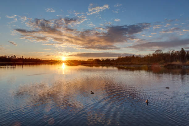 istock Burnaby Lake at sunset, BC, Canada 1144863323