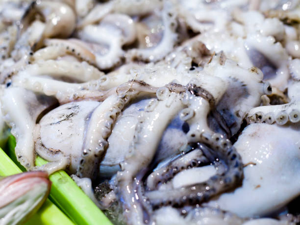 istock Fresh fish market -  octopus for sale. 1144864427