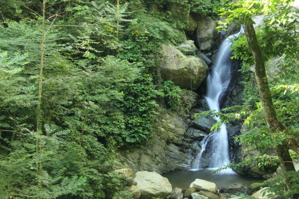 istock Amazing waterfall with silky water in the rainforest, Venezuela 1144865613