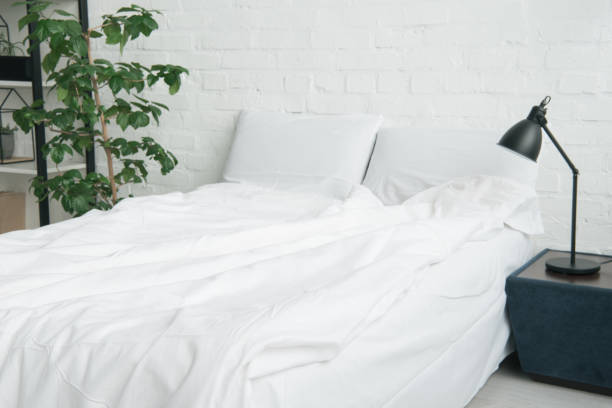 istock bed with white blanket and pillows, plant and lamp on nightstand 1144867621