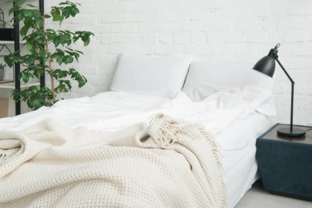 istock bed with white blanket and pillows, plant and lamp on black nightstand 1144867626
