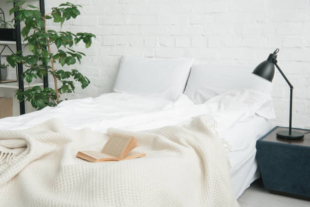 istock book on white bed, plant and lamp on black nightstand 1144867628