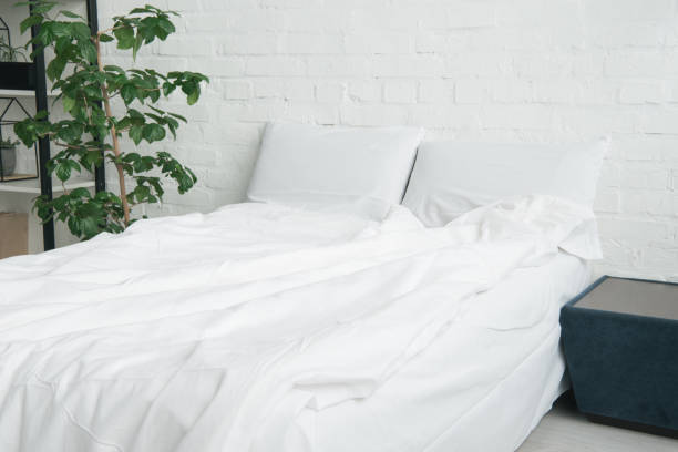 istock bed with white blanket and pillows, plant and black nightstand 1144867633