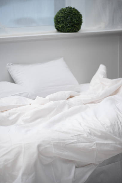 istock bedroom with plant, pillow and white blanket on empty bed 1144867721