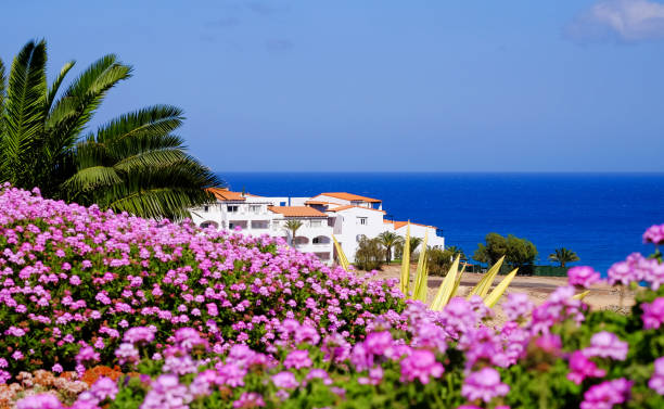 istock View on Butihondo on Fuerteventura. 1144868497